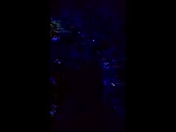 3L3Ktrick profile