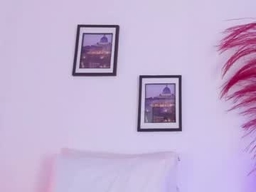 Gallery 1