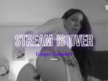 Campbeldginger