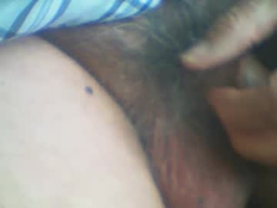Castells profile