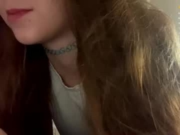 Domitilabarrus profile