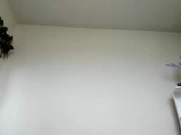 Evaritz__ profile