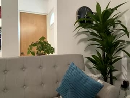 Gsmx profile
