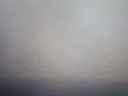 John_Marston2 profile