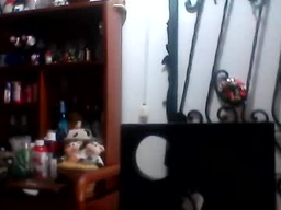 Gallery 1