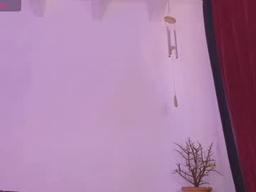 Gallery 1