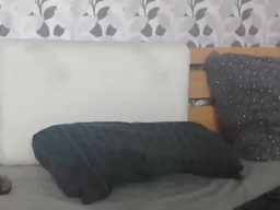 Kelywild20 profile