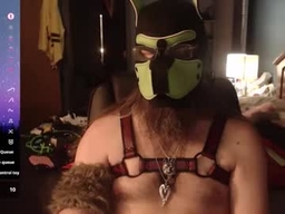 Kinkywolf87 profile