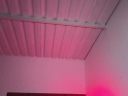 Gallery 1
