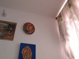 Gallery 1