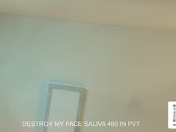 Gallery 1