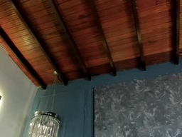 Gallery 1