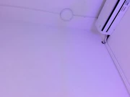 Gallery 1