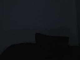 Onixandghosty profile