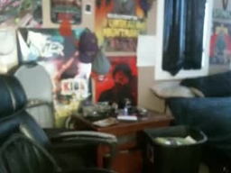 Gallery 1