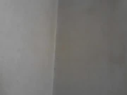 Gallery 2