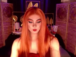 Transsitips profile