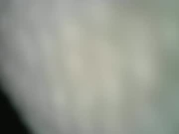 Gallery 1